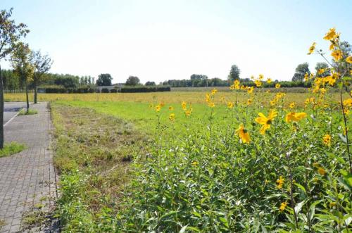 terreno edificabile in vendita a Chions