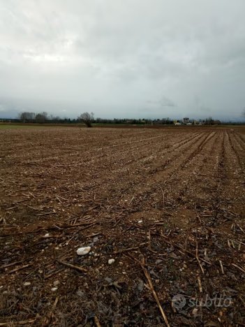 terreno agricolo in vendita a Cordenons