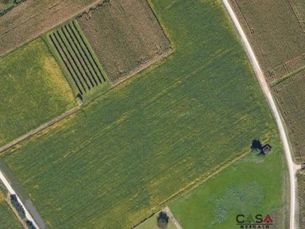 terreno agricolo in vendita a Cordenons