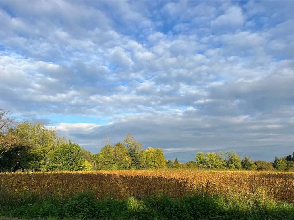 terreno agricolo in vendita a Cordenons
