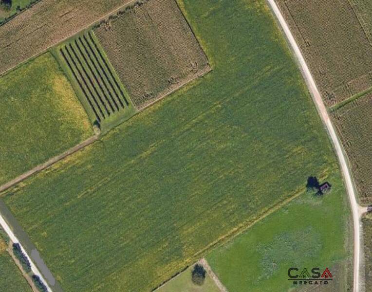 terreno agricolo in vendita a Cordenons