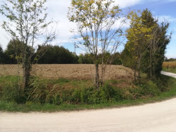 terreno agricolo in vendita a Fiume Veneto in zona Pescincanna