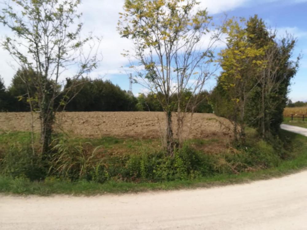 terreno agricolo in vendita a Fiume Veneto in zona Pescincanna