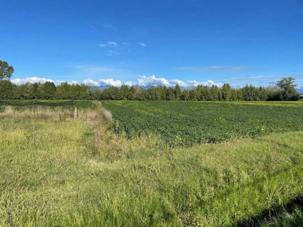 terreno agricolo in vendita a Fiume Veneto in zona Cimpello
