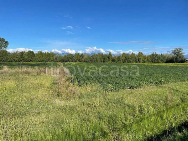 terreno agricolo in vendita a Fiume Veneto in zona Cimpello