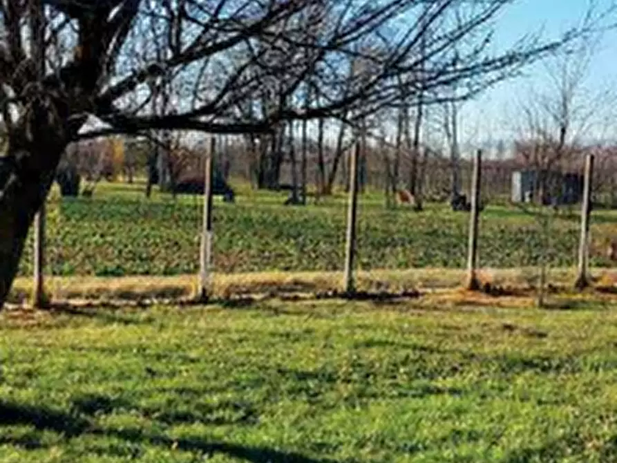 terreno agricolo in vendita a Fiume Veneto