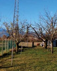 terreno agricolo in vendita a Fiume Veneto