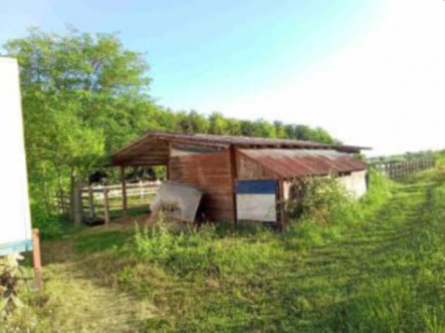 negozio in vendita a Fiume Veneto