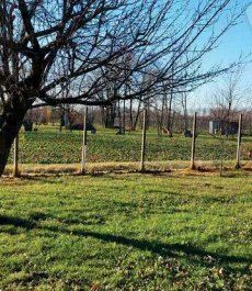 terreno agricolo in vendita a Fiume Veneto