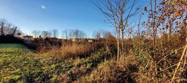 terreno agricolo in vendita a Fiume Veneto in zona Cimpello