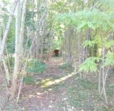 appartamento in vendita a Fiume Veneto