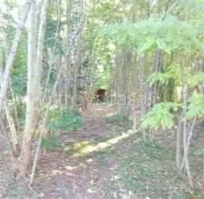 appartamento in vendita a Fiume Veneto