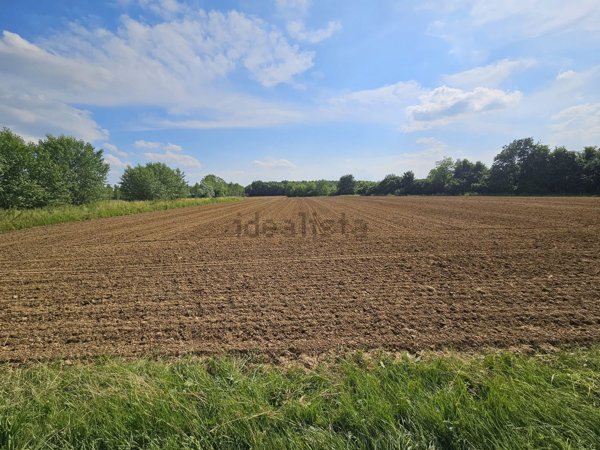 terreno agricolo in vendita a Fiume Veneto