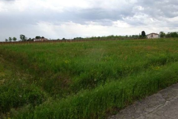 terreno agricolo in vendita a Fiume Veneto