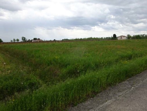 terreno agricolo in vendita a Fiume Veneto
