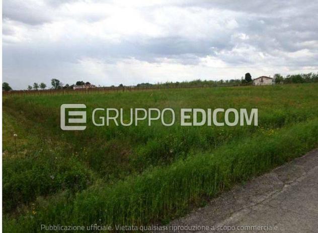 terreno agricolo in vendita a Fiume Veneto