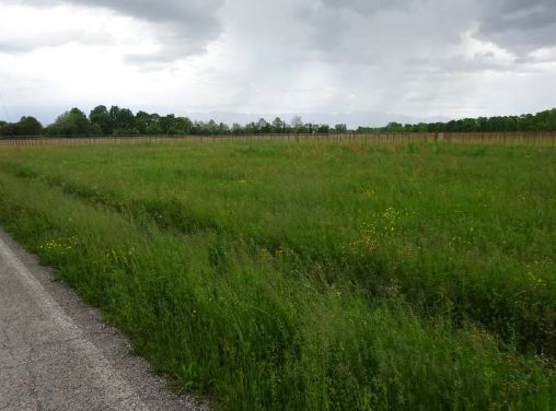 terreno in vendita a Fiume Veneto