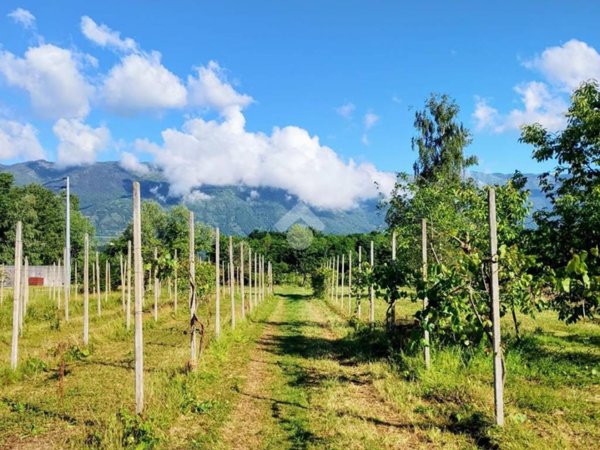 terreno agricolo in vendita a Fontanafredda in zona Vigonovo