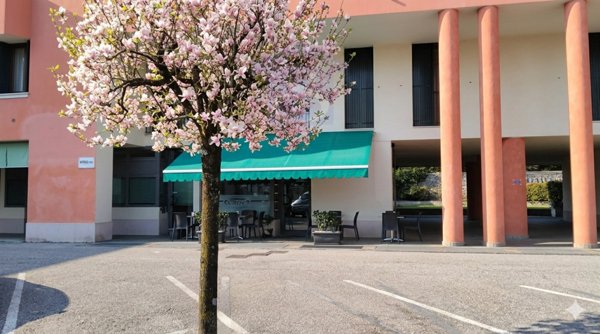 negozio in vendita a Fontanafredda