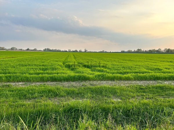 terreno in vendita a Fontanafredda in zona Vigonovo