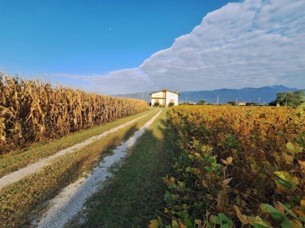 casa indipendente in vendita a Fontanafredda
