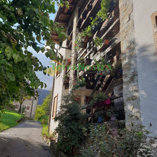 appartamento in vendita a Frisanco