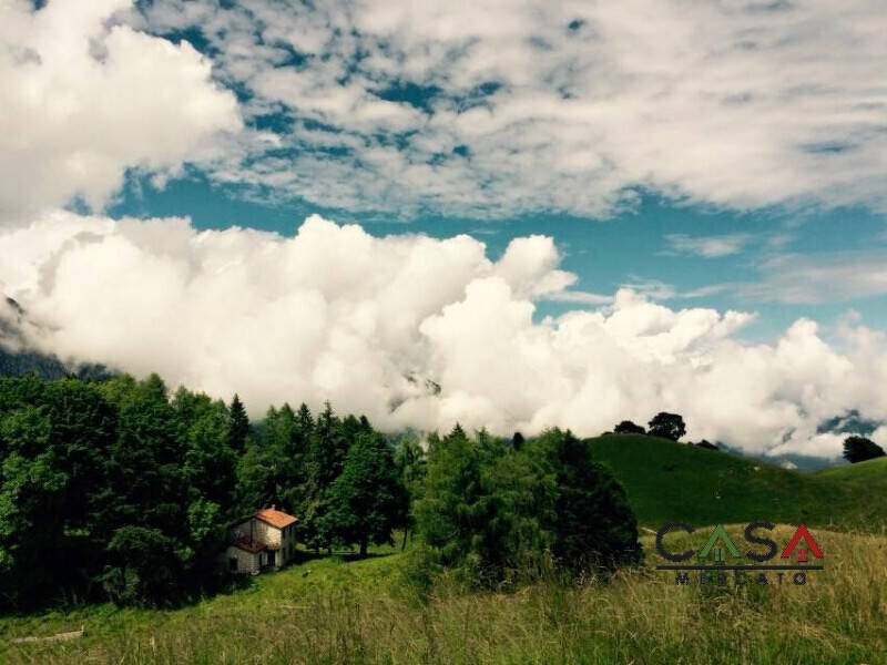 terreno agricolo in vendita a Maniago