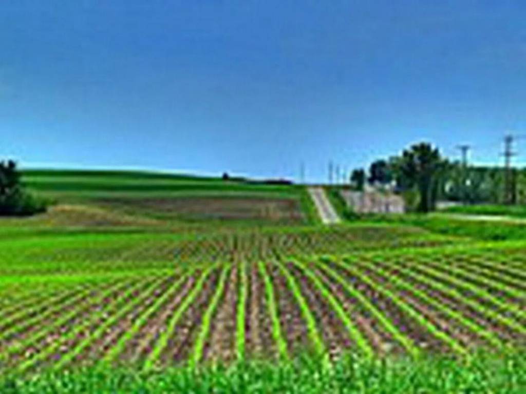 terreno agricolo in vendita a Pasiano di Pordenone