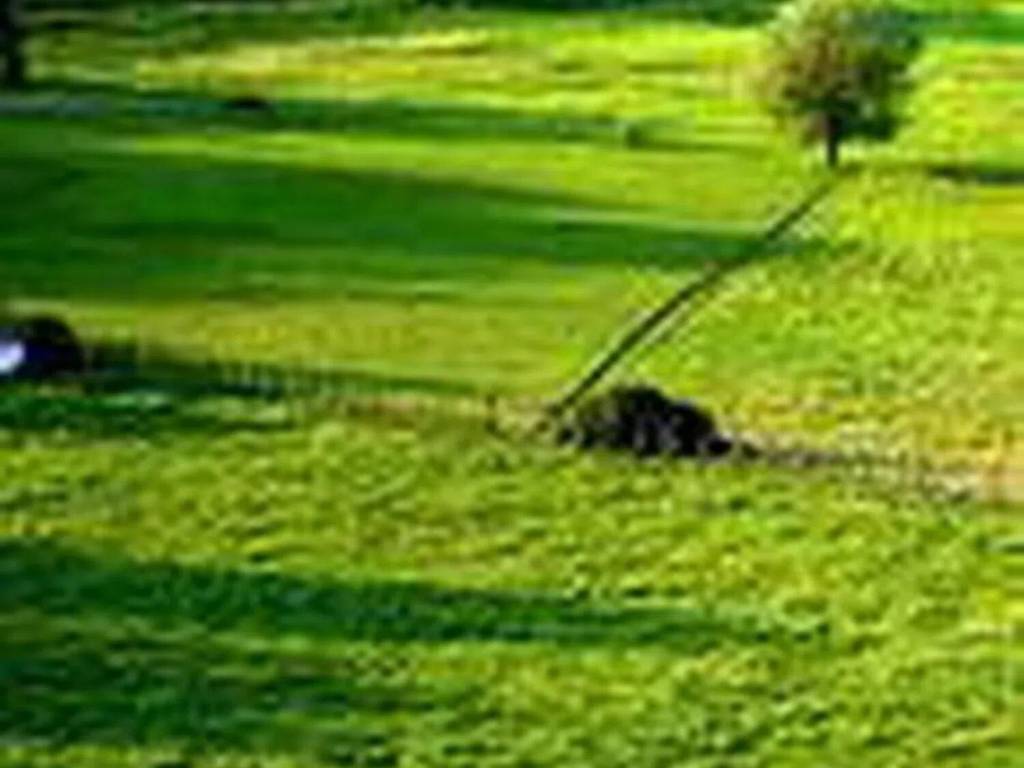 terreno agricolo in vendita a Pasiano di Pordenone