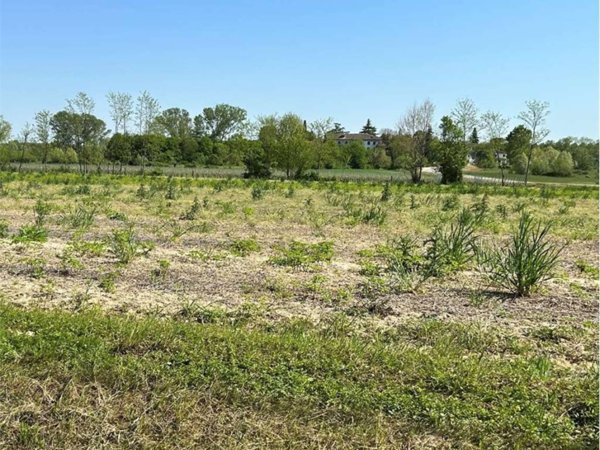 terreno agricolo in vendita a Pasiano di Pordenone