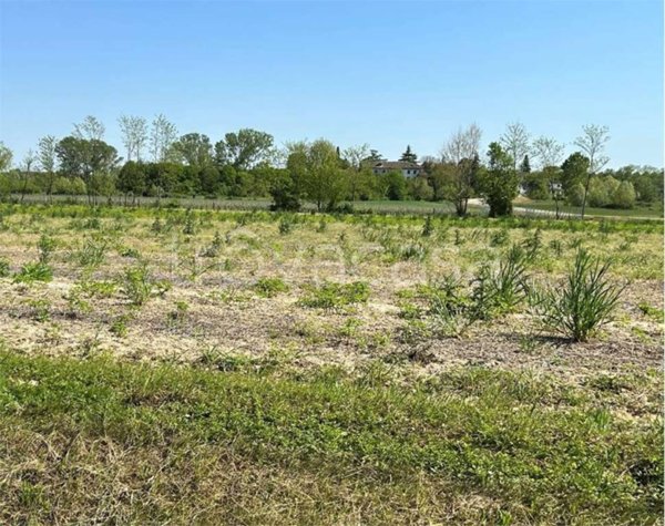 terreno agricolo in vendita a Pasiano di Pordenone