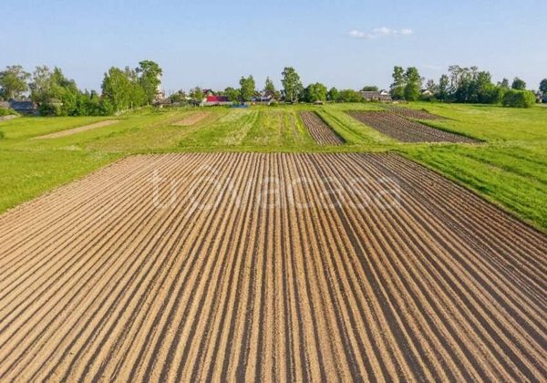 terreno edificabile in vendita a Pasiano di Pordenone