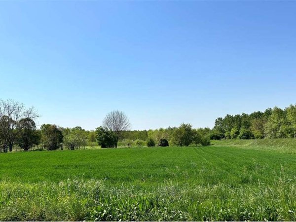 terreno agricolo in vendita a Pasiano di Pordenone