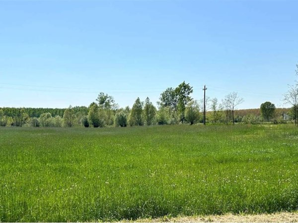terreno agricolo in vendita a Pasiano di Pordenone