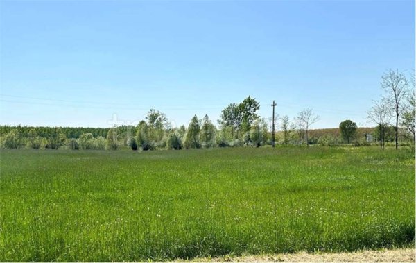 terreno agricolo in vendita a Pasiano di Pordenone