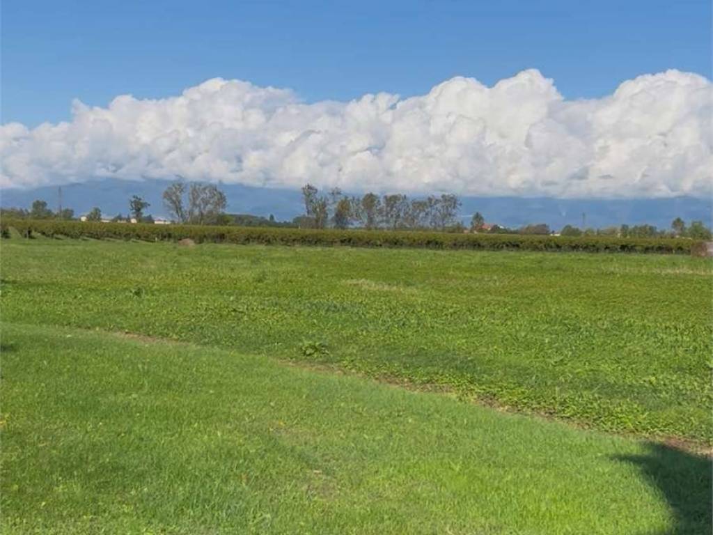 terreno agricolo in vendita a Pasiano di Pordenone