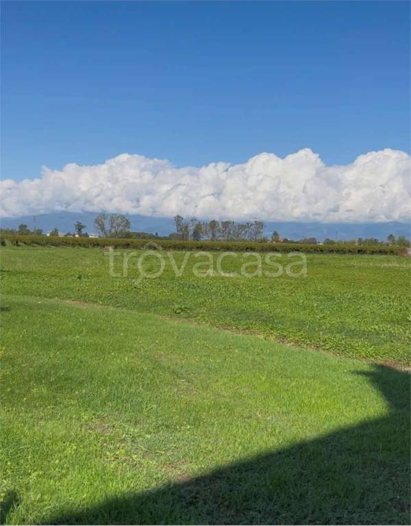 terreno agricolo in vendita a Pasiano di Pordenone