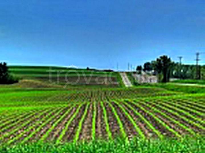 rudere in vendita a Pasiano di Pordenone