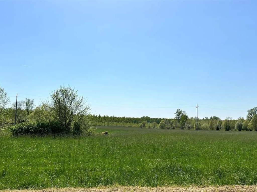 terreno agricolo in vendita a Pasiano di Pordenone