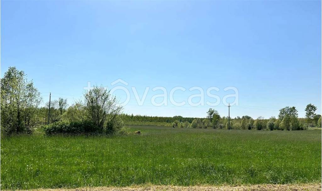 terreno agricolo in vendita a Pasiano di Pordenone