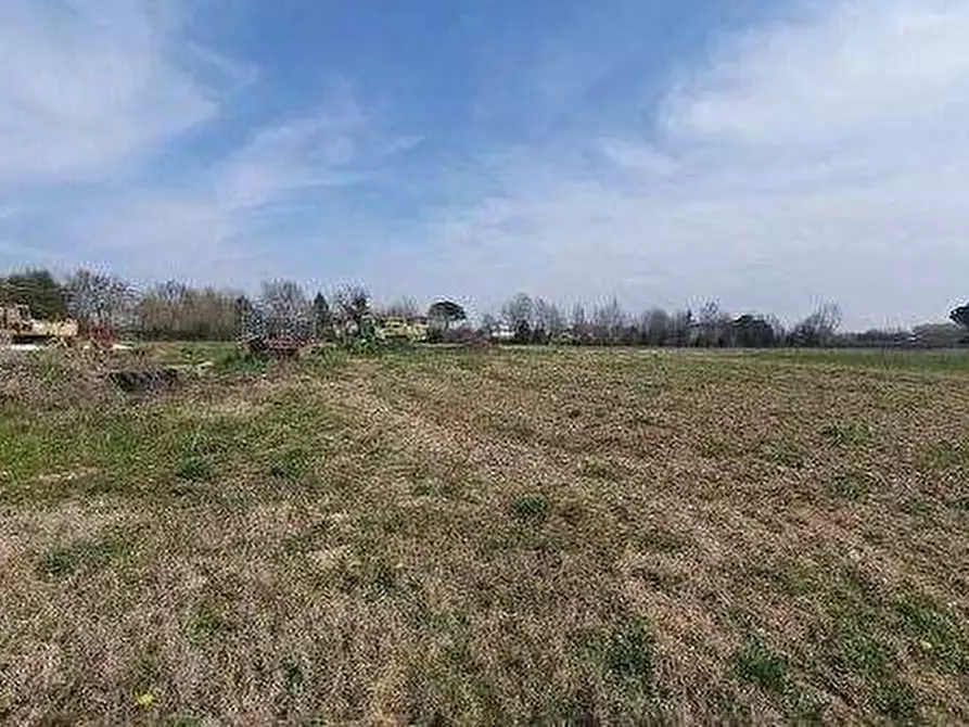 terreno agricolo in vendita a Pasiano di Pordenone