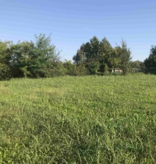 terreno edificabile in vendita a Pasiano di Pordenone