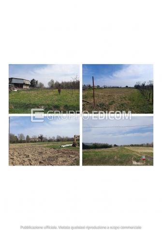 terreno agricolo in vendita a Pasiano di Pordenone