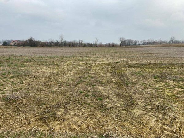 terreno agricolo in vendita a Pasiano di Pordenone in zona Sant'Andrea