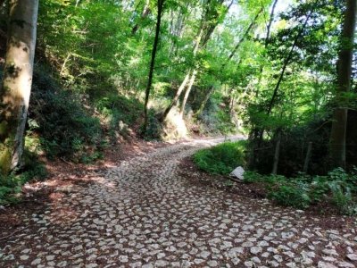terreno agricolo in vendita a Polcenigo in zona San Giovanni