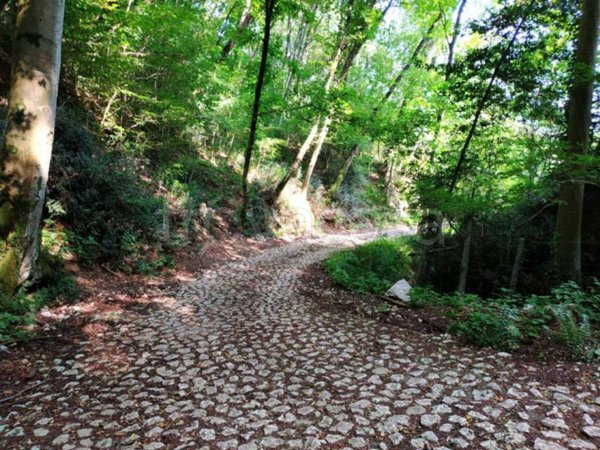 terreno agricolo in vendita a Polcenigo in zona San Giovanni