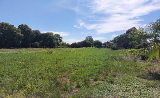 terreno edificabile in vendita a Porcia in zona Palse