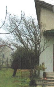 casa indipendente in vendita a Porcia
