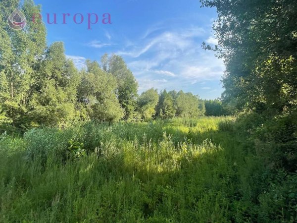 terreno agricolo in vendita a Porcia in zona Palse