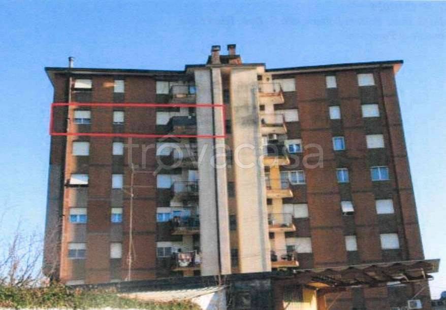 immagine annuncio 0 di 15